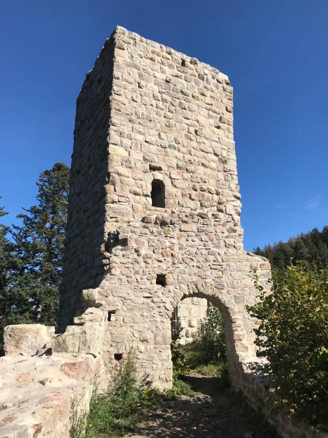 Landgasthof Alpenblick an der Wutachschlucht Südschwarzwald Löffingen Exterior foto