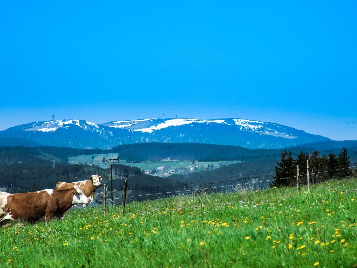 Landgasthof Alpenblick an der Wutachschlucht Südschwarzwald Löffingen Exterior foto